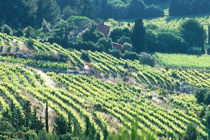 Private Full Day Wine Tour in Provence - Practical Details