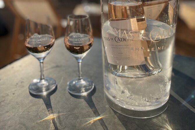 Private Full Day Wine Tour in Provence - FAQ