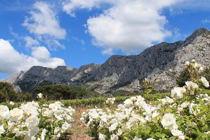 Private Full Day Wine Tour in Provence From Marseille cruise port - What Travelers Love Most