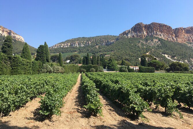 Private Full Day Wine Tour in Provence From Marseille cruise port - Who Is This Tour Best For?