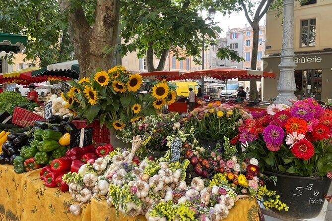 Private Full Day Wine Tour in Provence From Marseille cruise port - Wrapping It Up