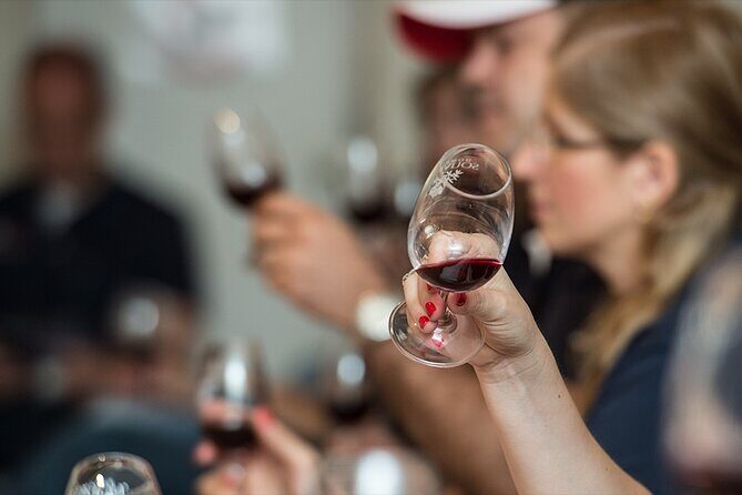 Private Full Day Wine Tour in Provence from Toulon Cruise Port - Exploring Toulon’s Private Wine Tour: What to Expect