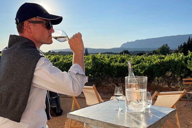Private Full Day Wine Tour in Provence from Toulon Cruise Port - Final Thoughts: Is This Tour Right for You?