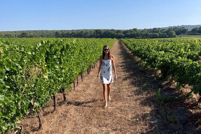 Private Full Day Wine Tour in Provence from Toulon Cruise Port - FAQ