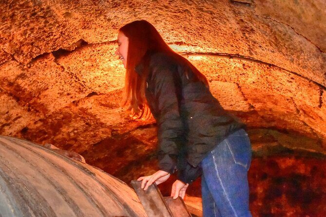 Private Full Day Wine Tour in Rioja - Key Points