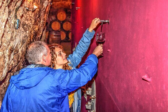 Private Full Day Wine Tour in Rioja - A Closer Look at the Tour Experience