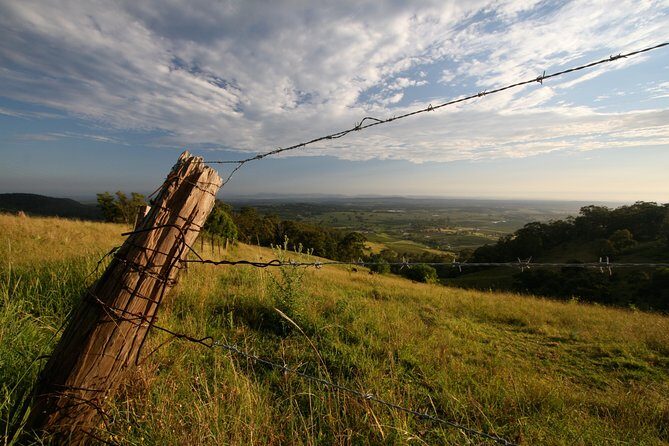 Private full-day wine tour in the Hunter Valley - Authentic Guest Experiences