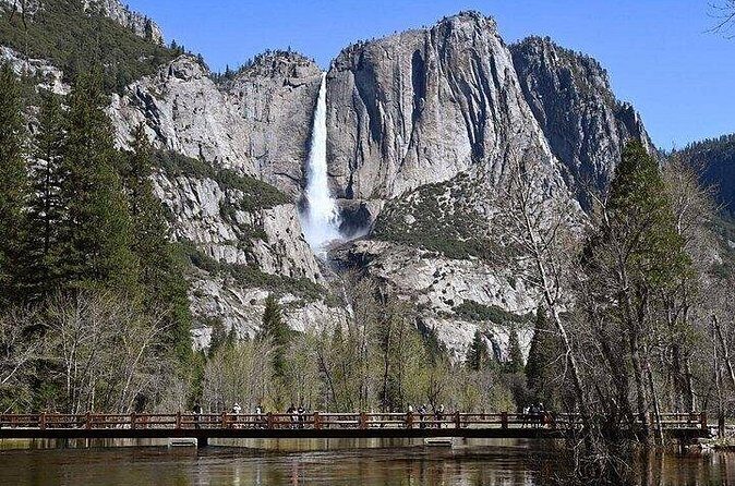 Private Full Day Yosemite National Park Tour from Cupertino - Who Should Consider This Tour?