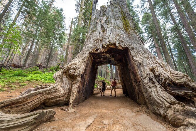 Private Full Day Yosemite National Park Tour from San Francisco - Exploring the Private Full Day Yosemite National Park Tour from San Francisco: An Honest Look