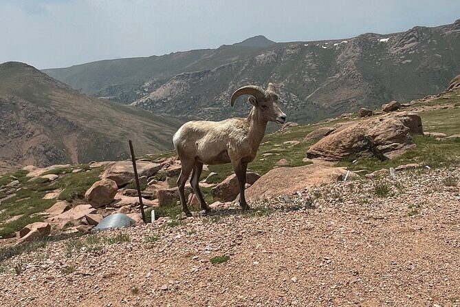 Private Full DayJeep Tour Garden of Gods Pike's Peak from Denver - Frequently Asked Questions