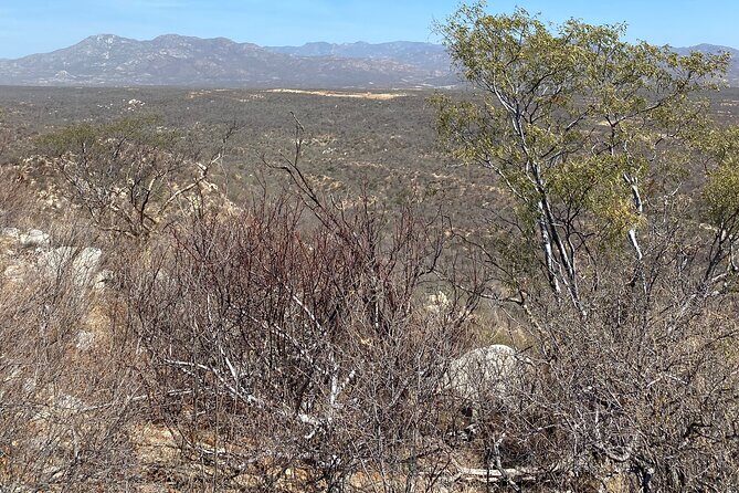 PRIVATE Fun Hiking Tour with Awesome Views - Who Should Consider This Tour?