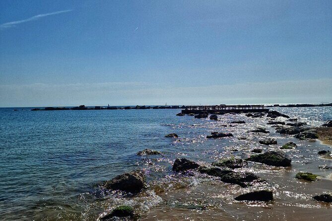 Private Gastronomic Tour in the City of Condal Barcelona - The Detailed Experience: What You Can Expect