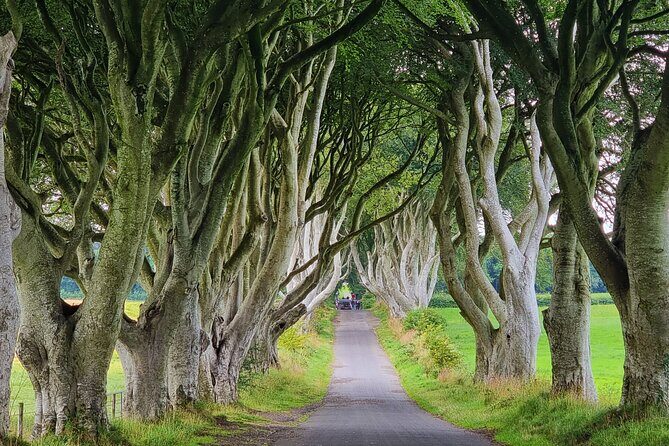 Private Giants Causeway Express Tour - The Itinerary in Detail