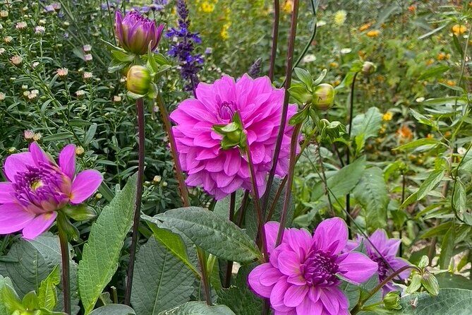 Private Giverny Roundtrip and Entrance Ticket from Paris - The Itinerary in Detail