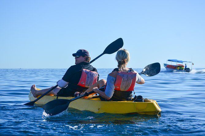 Private Glass bottom Kayak and snorkel at two Bays - Who Is This Tour Best For?