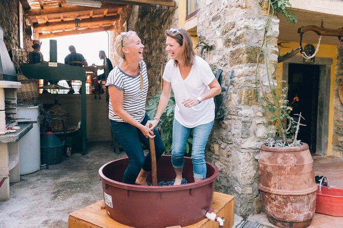 Private Grape stomping at Chianti Farmhouse - Key Points