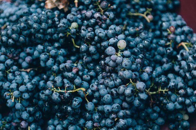 Private Grape stomping at Chianti Farmhouse - Final Thoughts