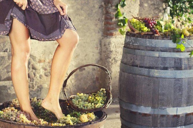 Private Grape stomping in Chianti from Siena - Key Points