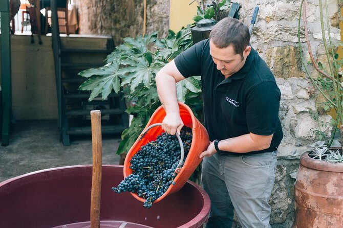 Private Grape stomping in Chianti from Siena - Wine Tasting and the Cellar Visit