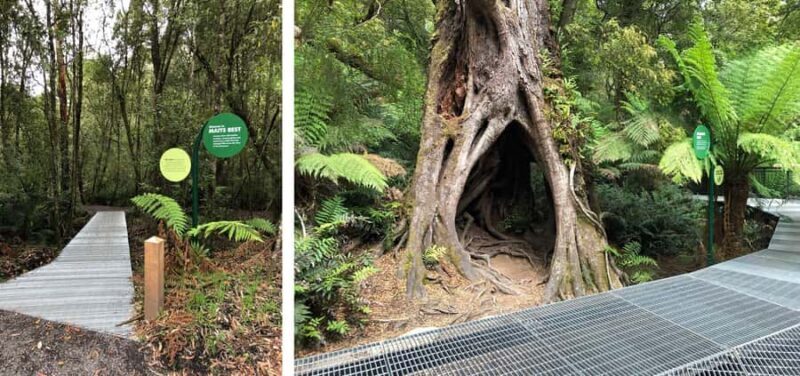 Private Great Ocean Road & 12 Apostles Experience - Key Points