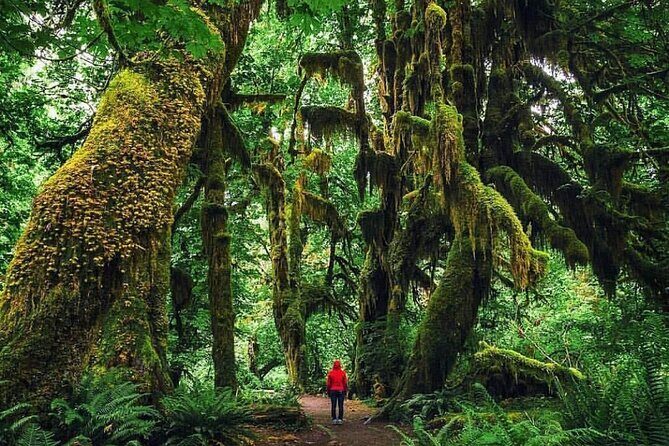 Private Greater Toronto DriveSpa Tour with Lunch - Starting off at the BAPS Shri Swaminarayan Mandir