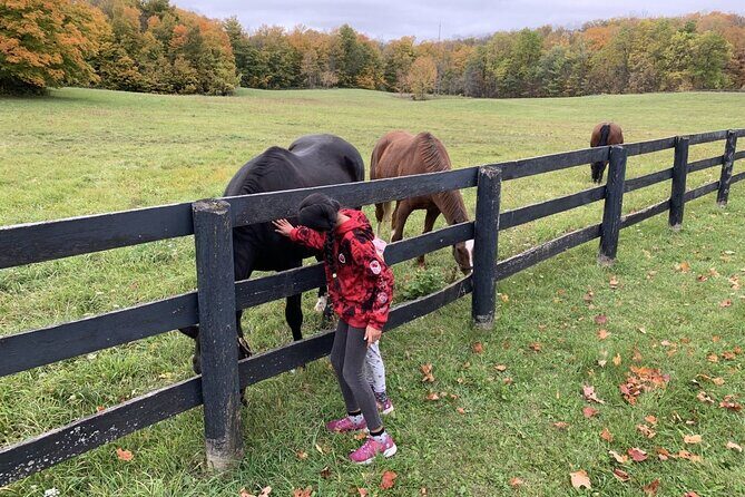 Private Greater Toronto DriveSpa Tour with Lunch - Ending at Forks of the Credit