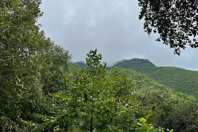 Private/Group Cola de Caballo Waterfall & Santiago (Premium SUV) - A Deep Dive into the Itinerary