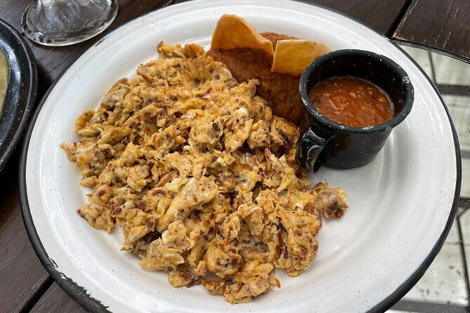 Private/Group Cola de Caballo Waterfall & Santiago (Premium SUV) - FAQ