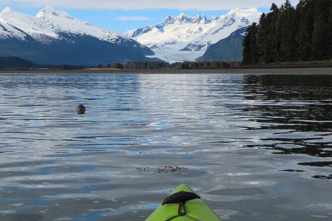 Private Group Kayaking Tour with Mendenhall Glacier Views - FAQ