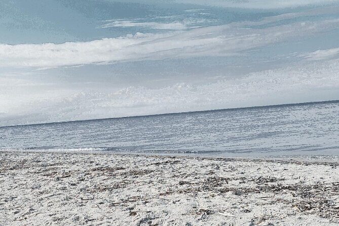 (Private group) Swimming and relax in beautiful beaches. - Final Thoughts