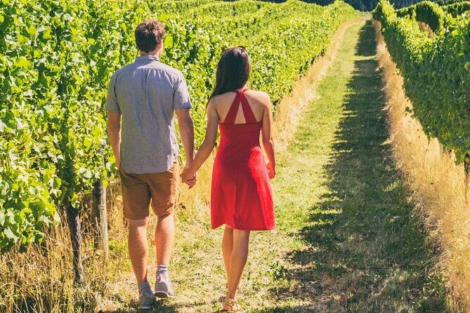 Private Group Wine Tours in Napa Valley - Real Talk: The Pros and Cons