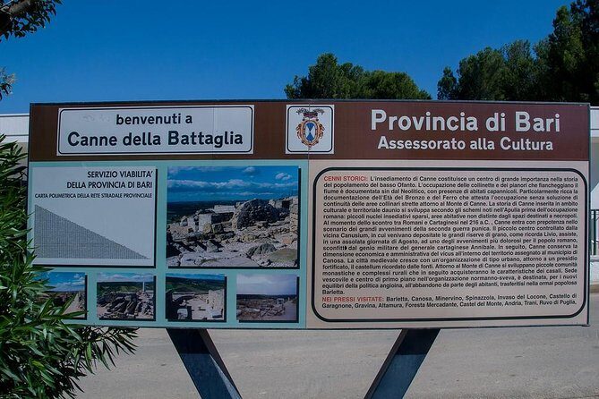 Private guide Archaeological ruins of Cannae: Hannibal's victory over the Romans - Breaking down the experience