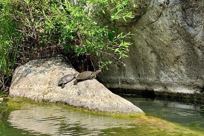 Private Guided Canyoning Adventure Benahavís River Walk - Who Is This Tour For?