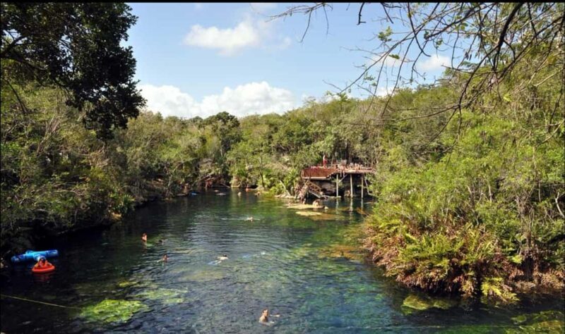 Private Guided Cave & Open Cenote Swim with Lunch - Who Is This Tour Best For?