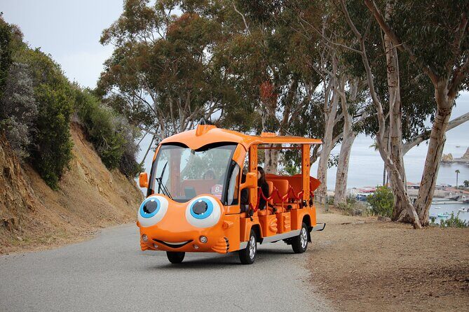Private Guided City Tour up to 12 Passengers - An Introduction to the Avalon Private Golf Cart Tour