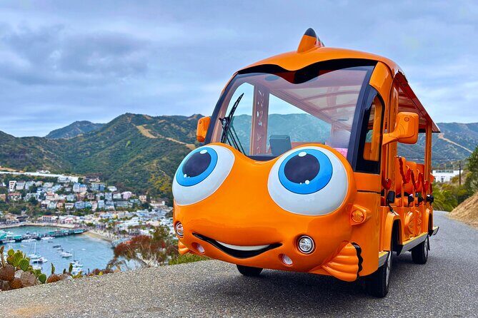 Private Guided City Tour up to 12 Passengers - What Makes This Tour Stand Out?