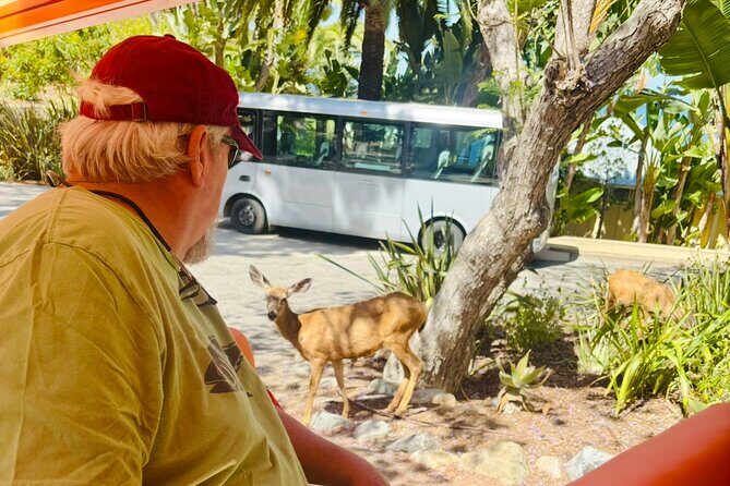 Private Guided City Tour up to 12 Passengers - The Practical Side: Price, Duration, and Convenience