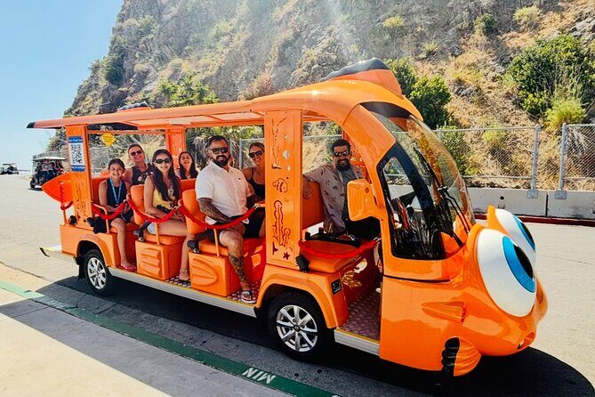 Private Guided City Tour up to 12 Passengers - FAQ