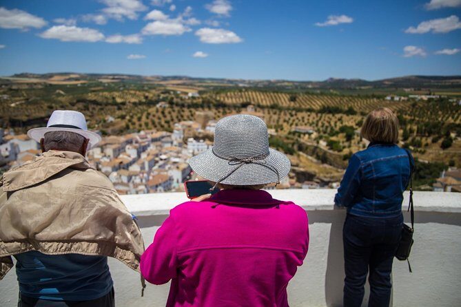 Private Guided Day Trip to the White Villages and Ronda from Seville - Why Consider This Tour?