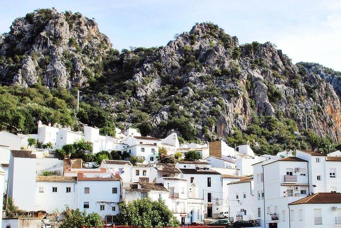 Private Guided Day Trip to the White Villages and Ronda from Seville - Who Is This Tour Best Suited For?