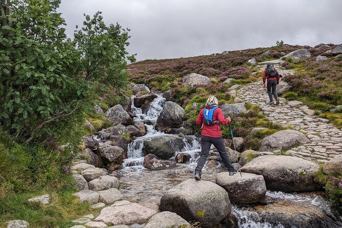 Private Guided Discovery Walk in the Cairngorms - Who Will Love This Experience?