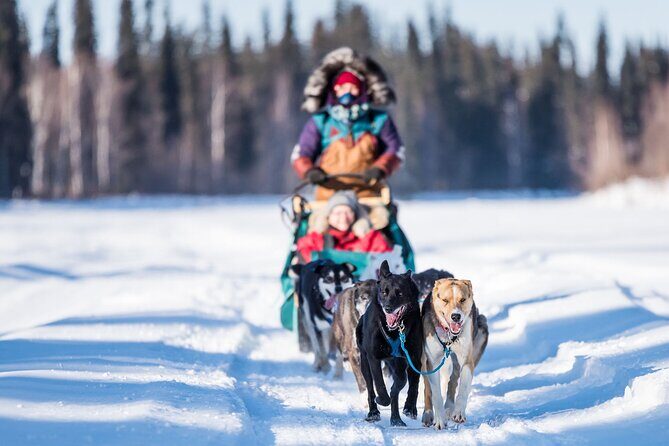 Private Guided Dog Sledding on the Historic Yukon Quest Trail - The Bottom Line