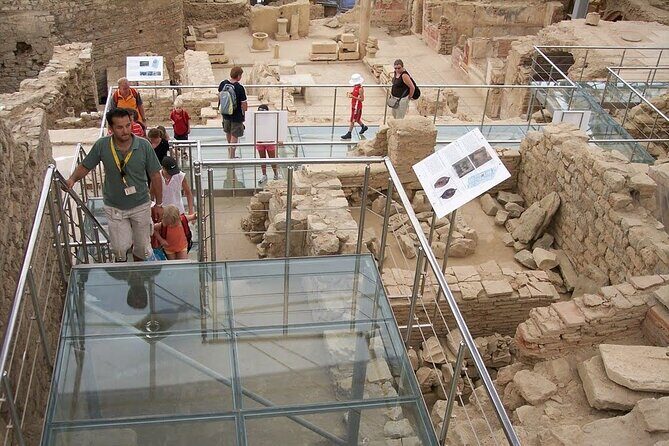 Private Guided Ephesus Highlights Tour - What to Expect from the Private Ephesus Highlights Tour