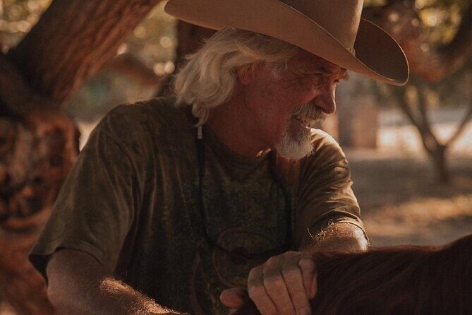 Private Guided Equine Meditation in Baja California - Introducing the Private Guided Equine Meditation in Baja California