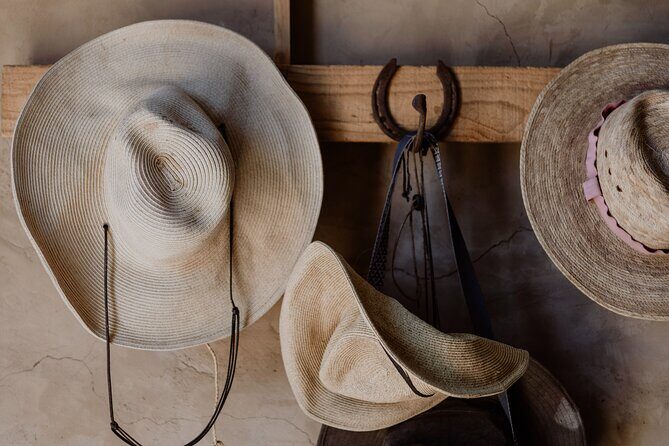 Private Guided Equine Meditation in Baja California - What to Expect During the Experience