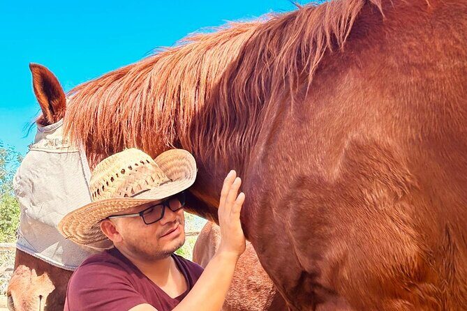 Private Guided Equine Meditation in Baja California - FAQ