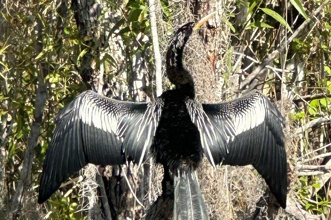 Private Guided Everglades Kayak Tour - Who Would Love This Experience?