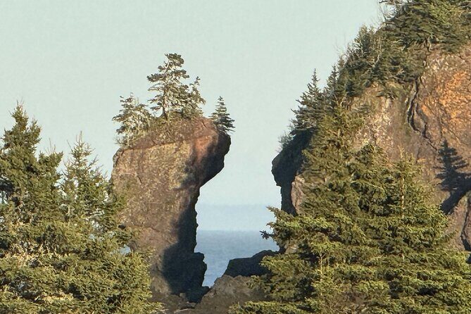Private Guided Fundy Tour in Saint John - Key Points