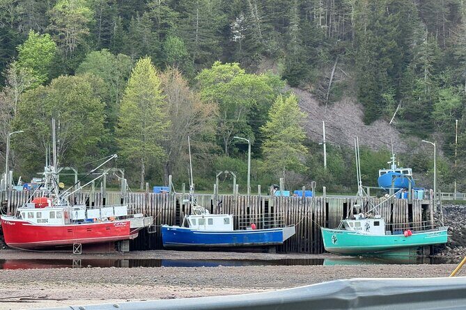 Private Guided Fundy Tour in Saint John - Authentic Traveler Insights