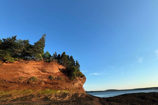 Private Guided Fundy Tour in Saint John - The Sum Up